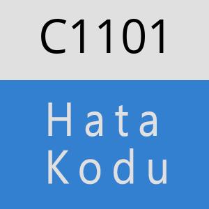 C1101 hatasi