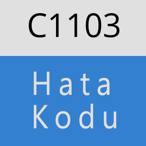 C1103 hatasi