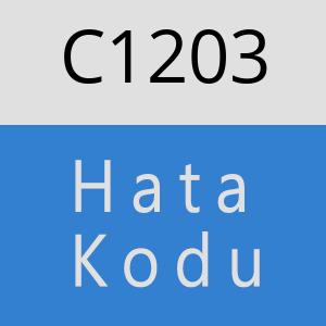 C1203 hatasi