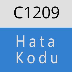 C1209 hatasi