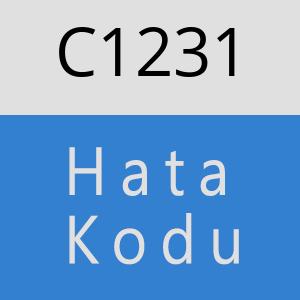 C1231 hatasi