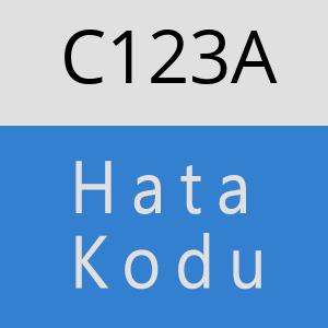 C123A hatasi