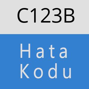 C123B hatasi