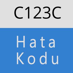 C123C hatasi