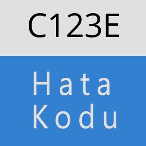 C123E hatasi