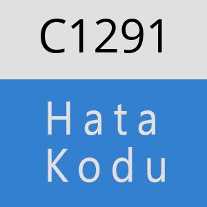 C1291 hatasi