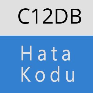 C12DB hatasi