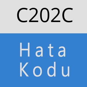 C202C hatasi