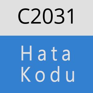 C2031 hatasi
