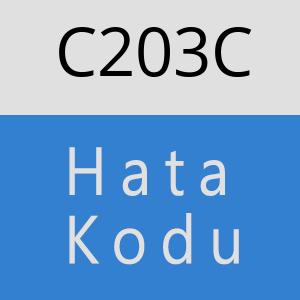 C203C hatasi