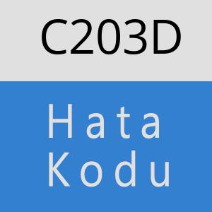 C203D hatasi