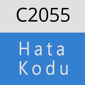 C2055 hatasi