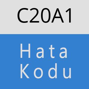 C20A1 hatasi