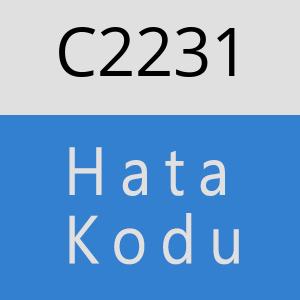 C2231 hatasi