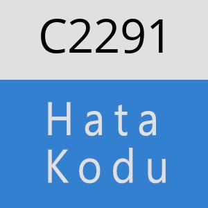 C2291 hatasi