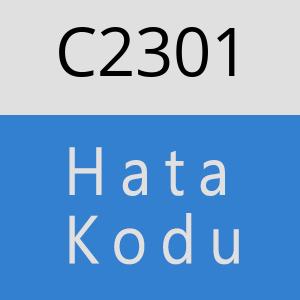 C2301 hatasi