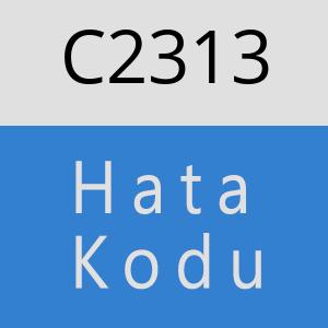 C2313 hatasi