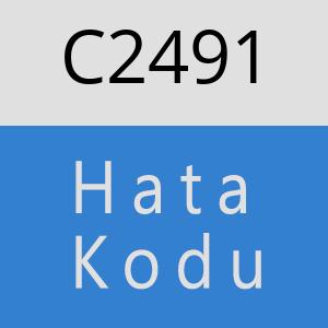 C2491 hatasi