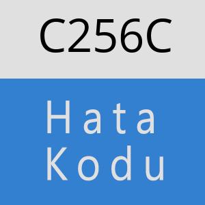 C256C hatasi