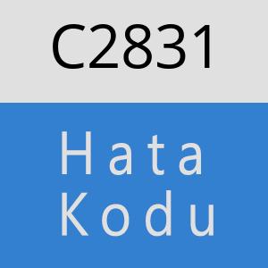 C2831 hatasi