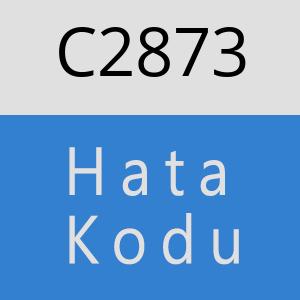 C2873 hatasi