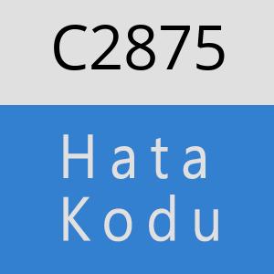 C2875 hatasi