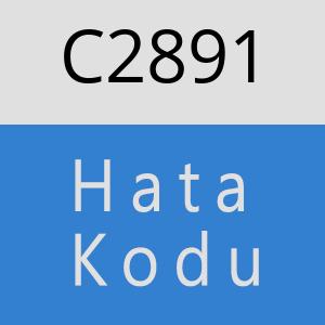 C2891 hatasi