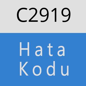 C2919 hatasi