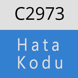 C2973 hatasi