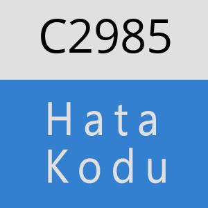 C2985 hatasi