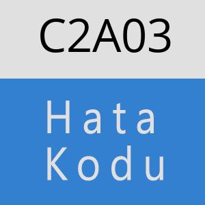 C2A03 hatasi