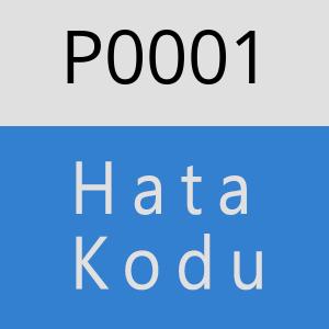 P0001 hatasi