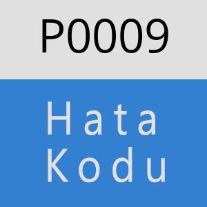 P0009 hatasi