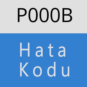 P000B hatasi