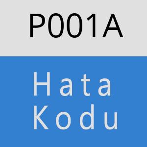 P001A hatasi