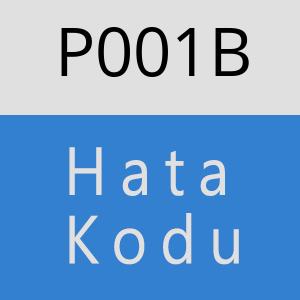 P001B hatasi