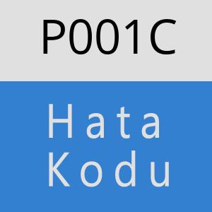 P001C hatasi