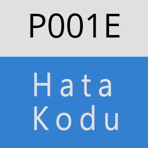 P001E hatasi