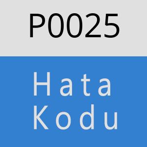 P0025 hatasi