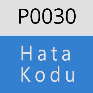 P0030 hatasi