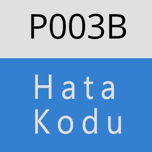 P003B hatasi