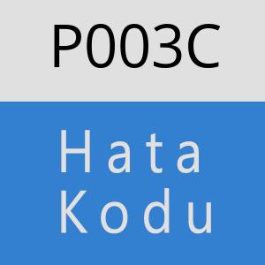 P003C hatasi