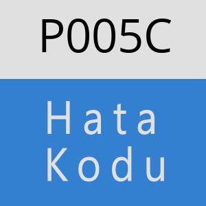 P005C hatasi