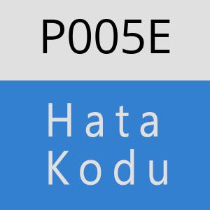 P005E hatasi