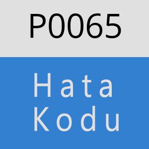 P0065 hatasi