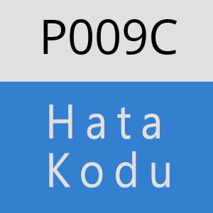 P009C hatasi