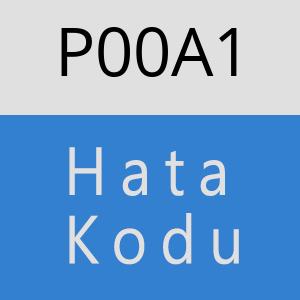 P00A1 hatasi