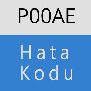 P00AE hatasi