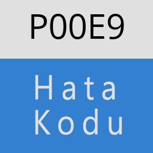 P00E9 hatasi