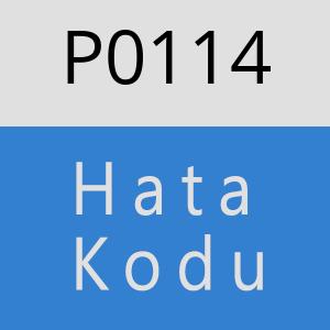 P0114 hatasi